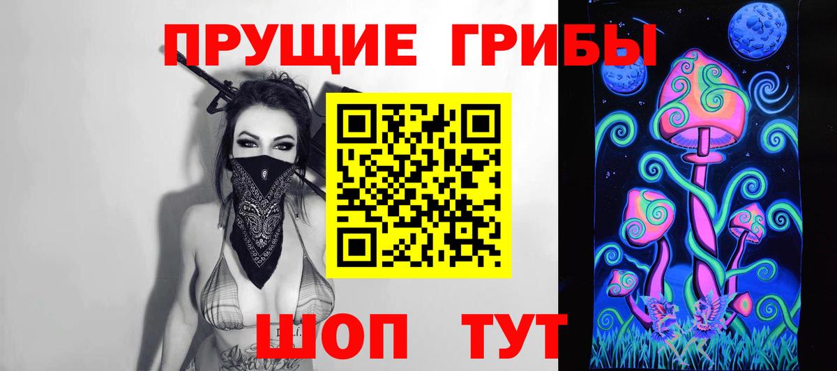 Псилоцибиновые грибы прущие грибы Кингисепп