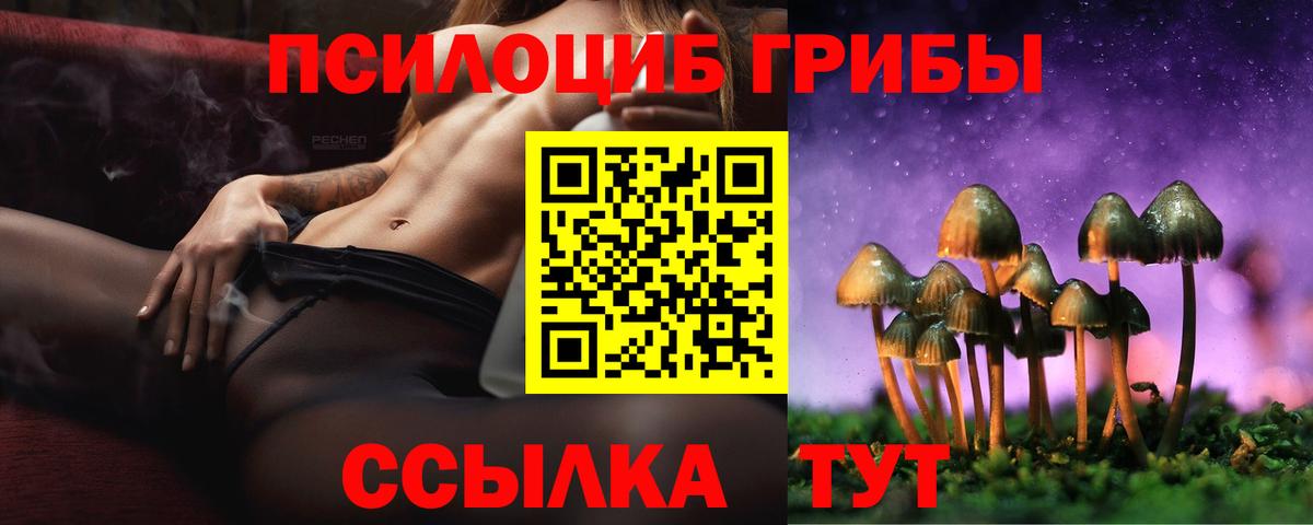 Кингисепп  Псилоцибиновые грибы GOLDEN TEACHER  Вход с VPN  Галлюциногенные грибы прущие грибы 